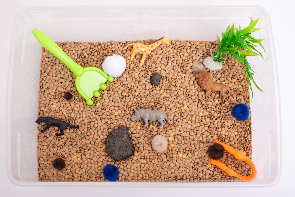 Safari Sensory Bin