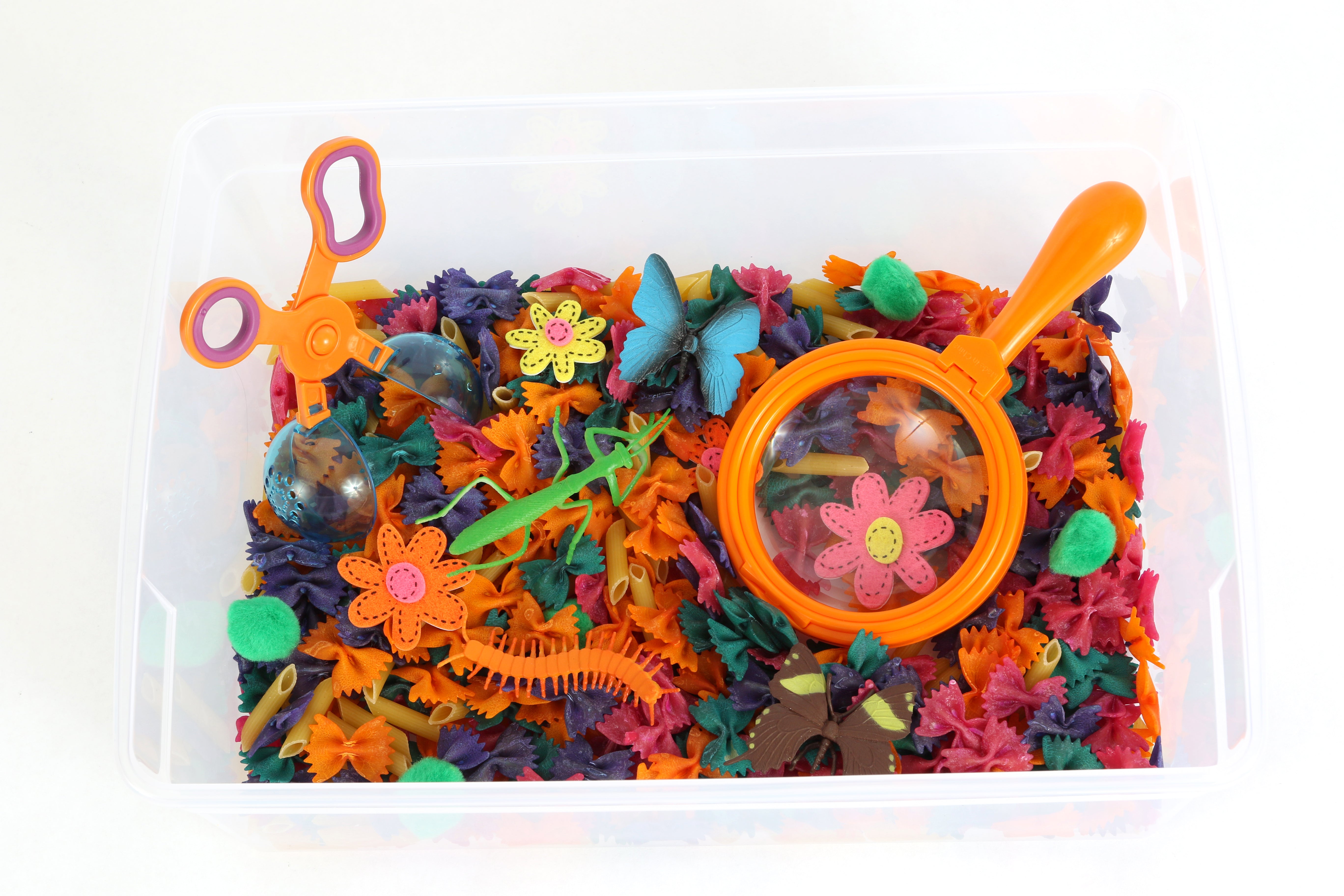 Butterflies & Bugs Sensory Bin