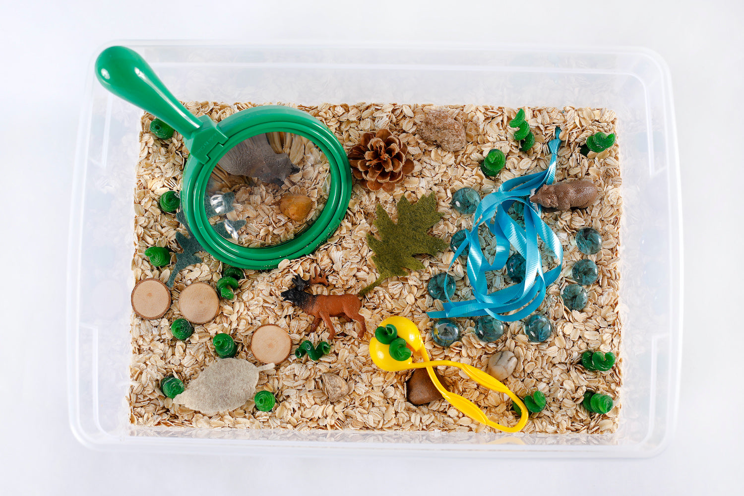 Forest Sensory Bin