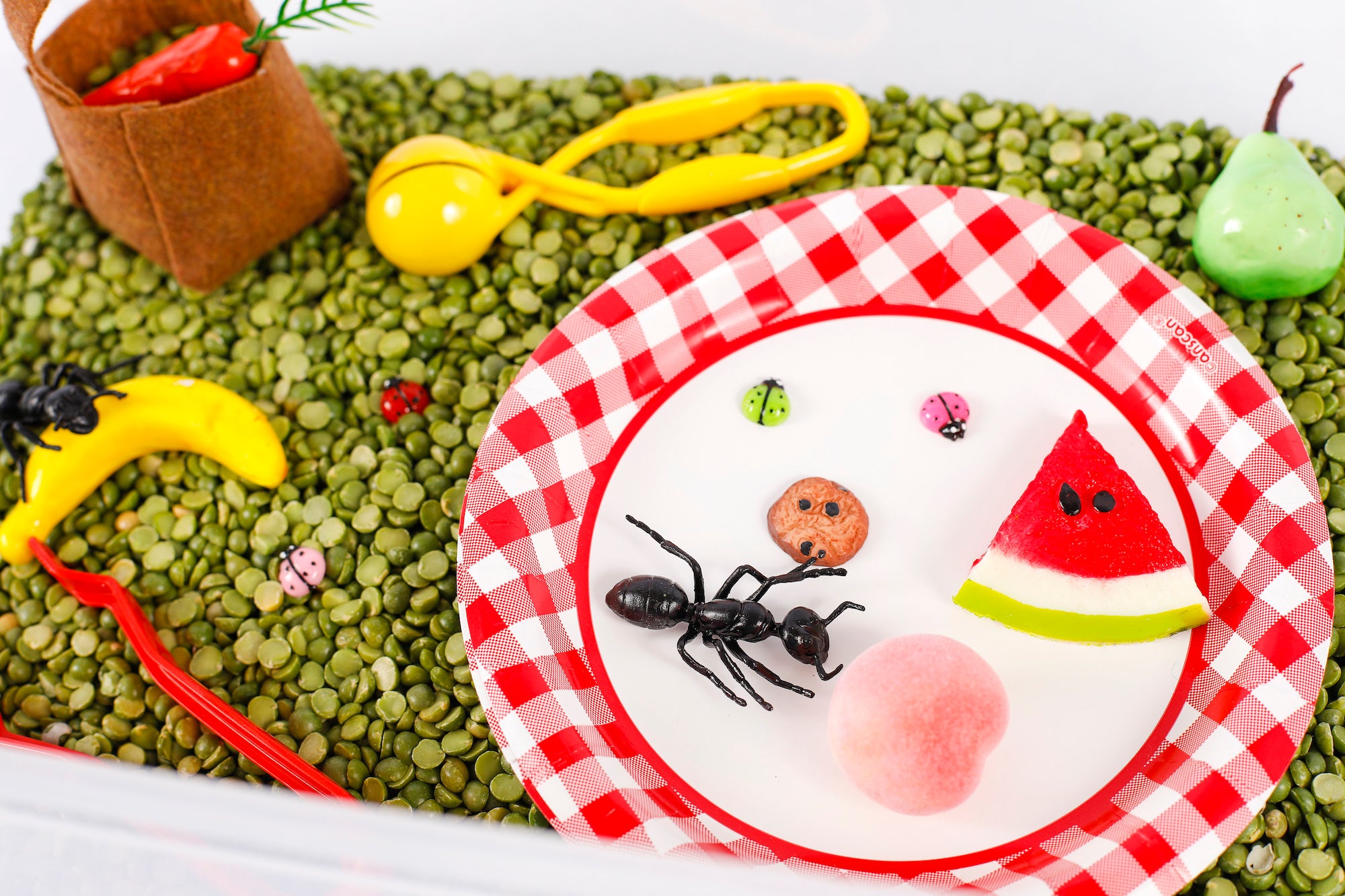 Picnic Sensory Bin