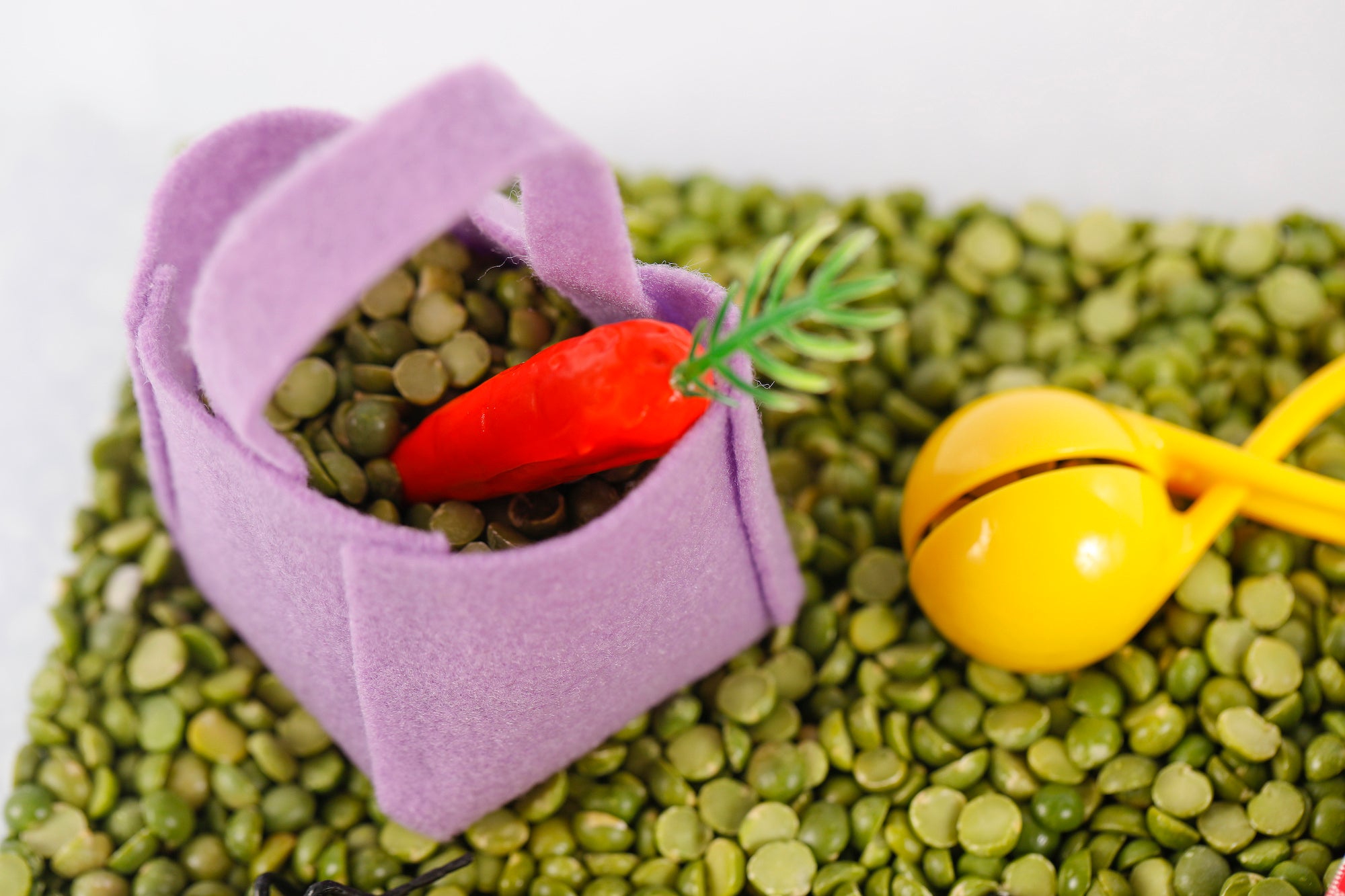 Picnic Sensory Bin