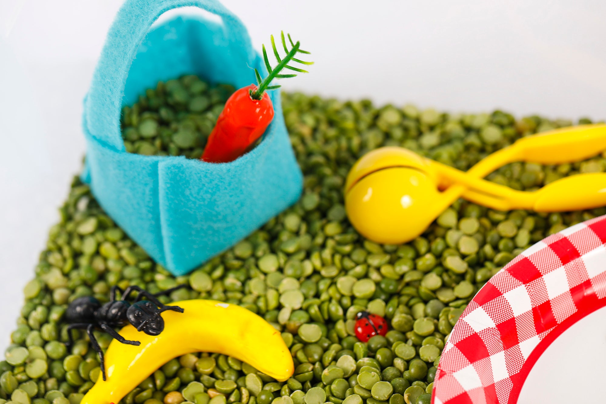 Picnic Sensory Bin
