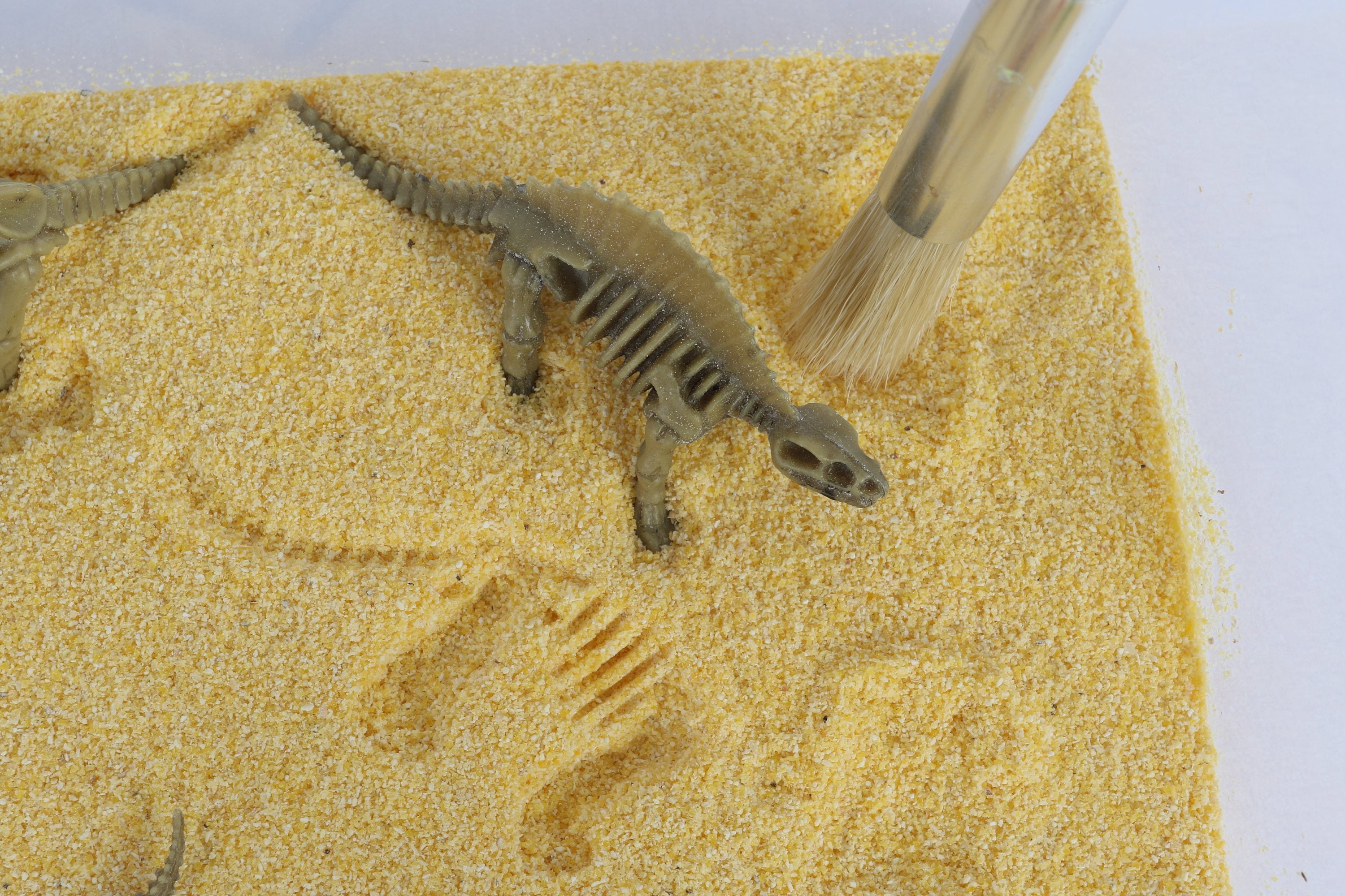 Dinosaur Excavation Sensory Bin