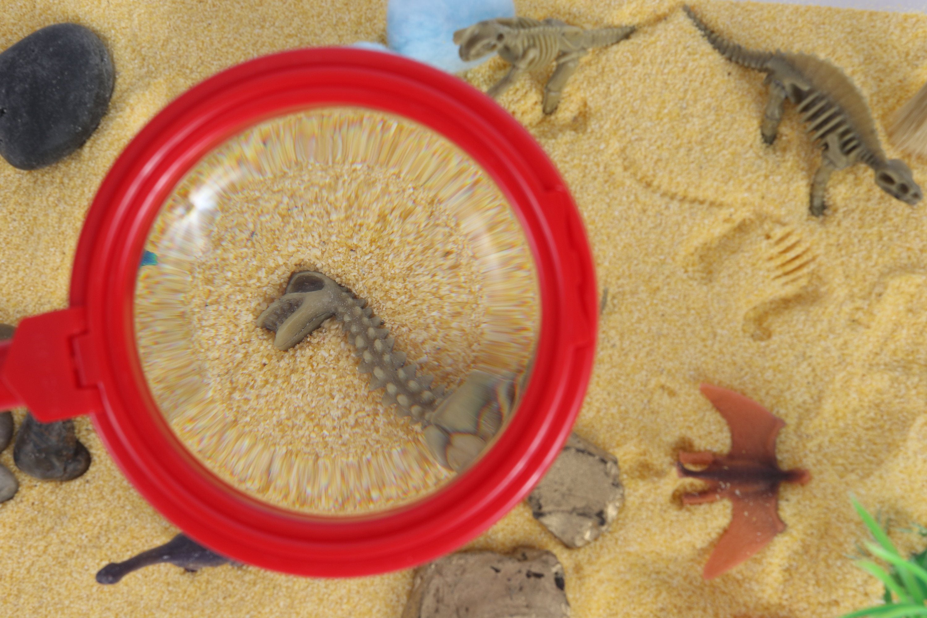 Dinosaur Excavation Sensory Bin