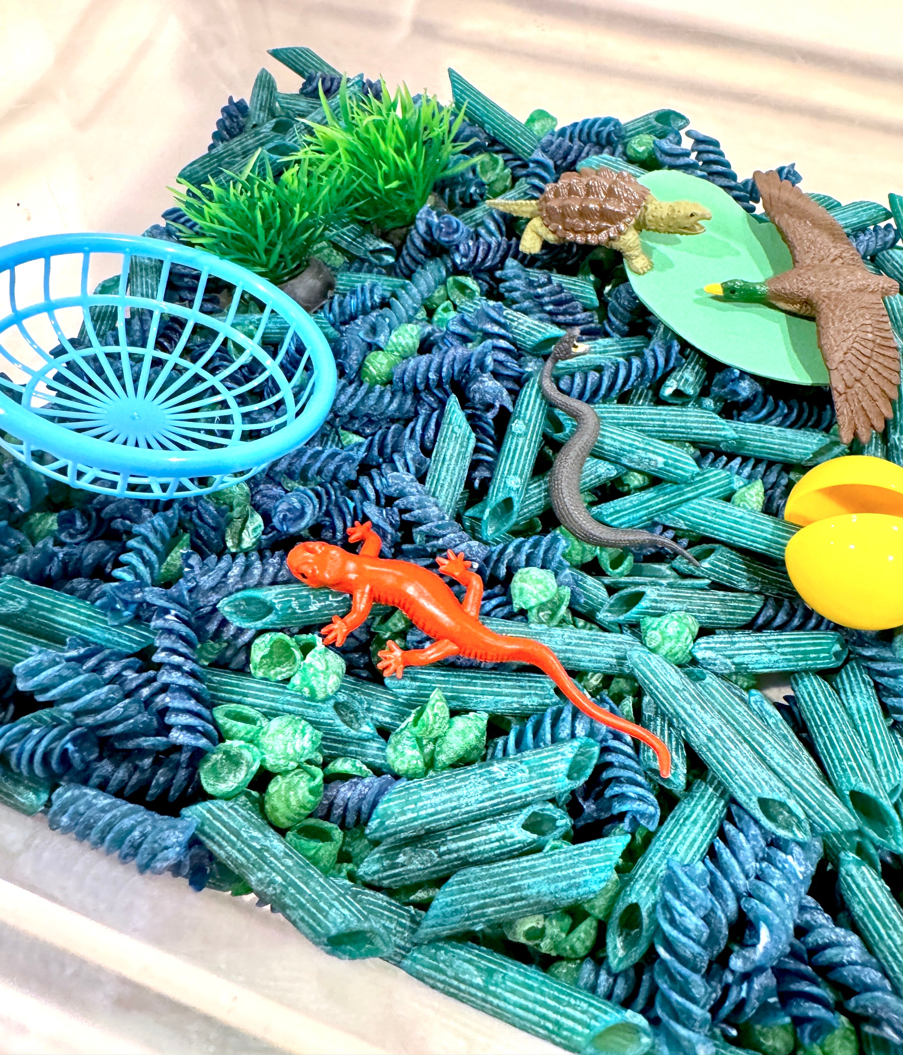 River Sensory Bin: NEW for 2025!!!