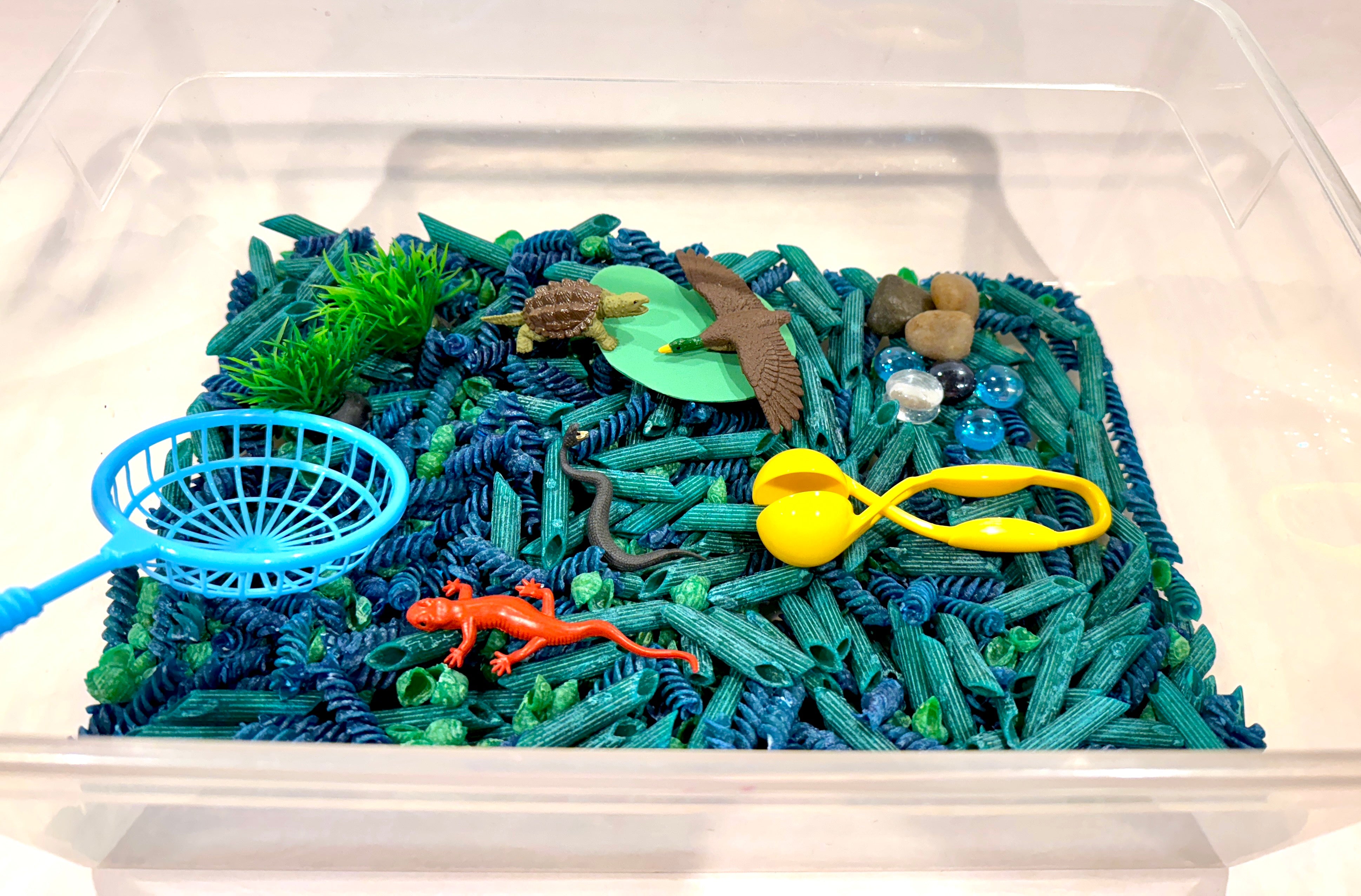 River Sensory Bin: NEW for 2025!!!