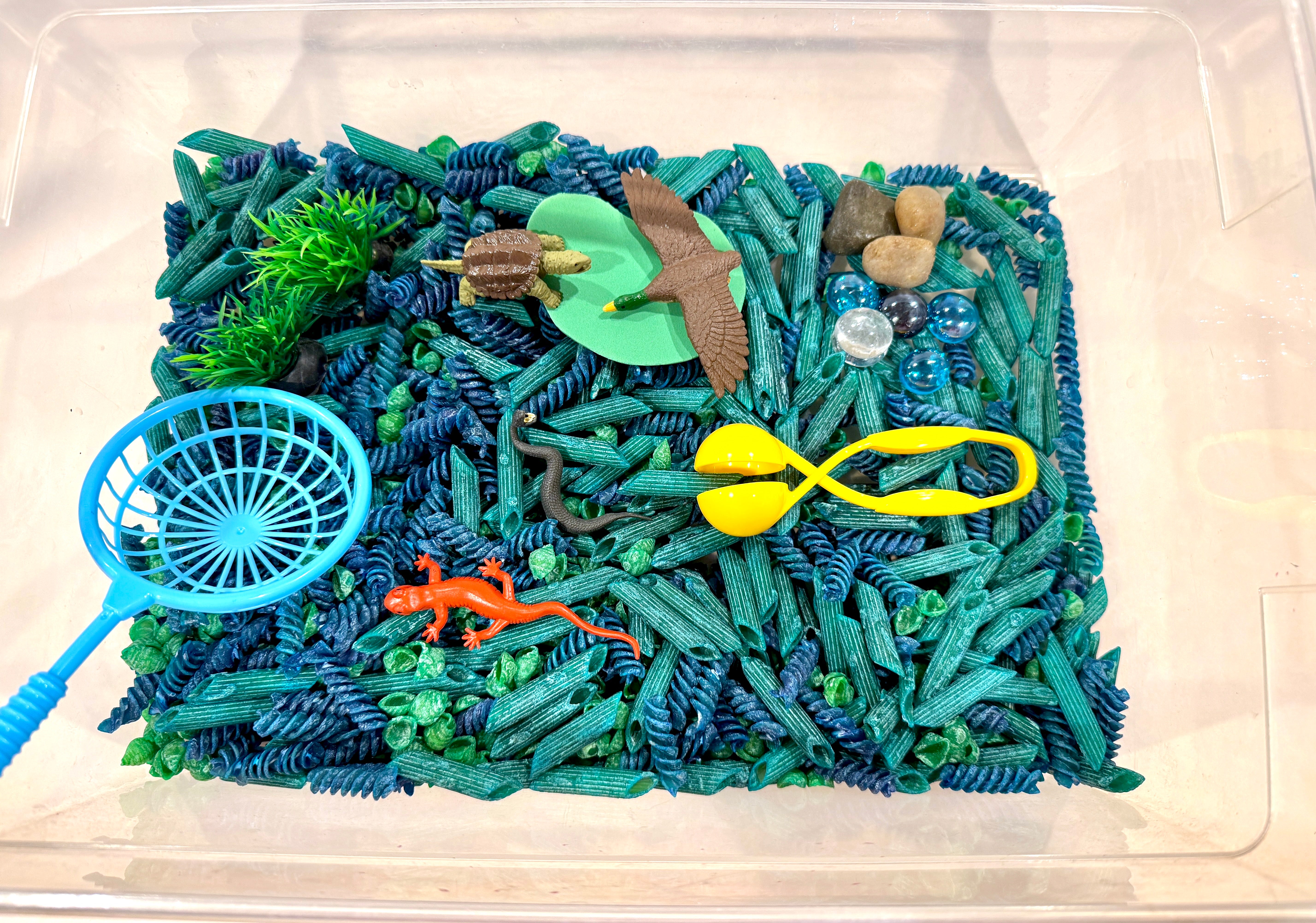 River Sensory Bin: NEW for 2025!!!