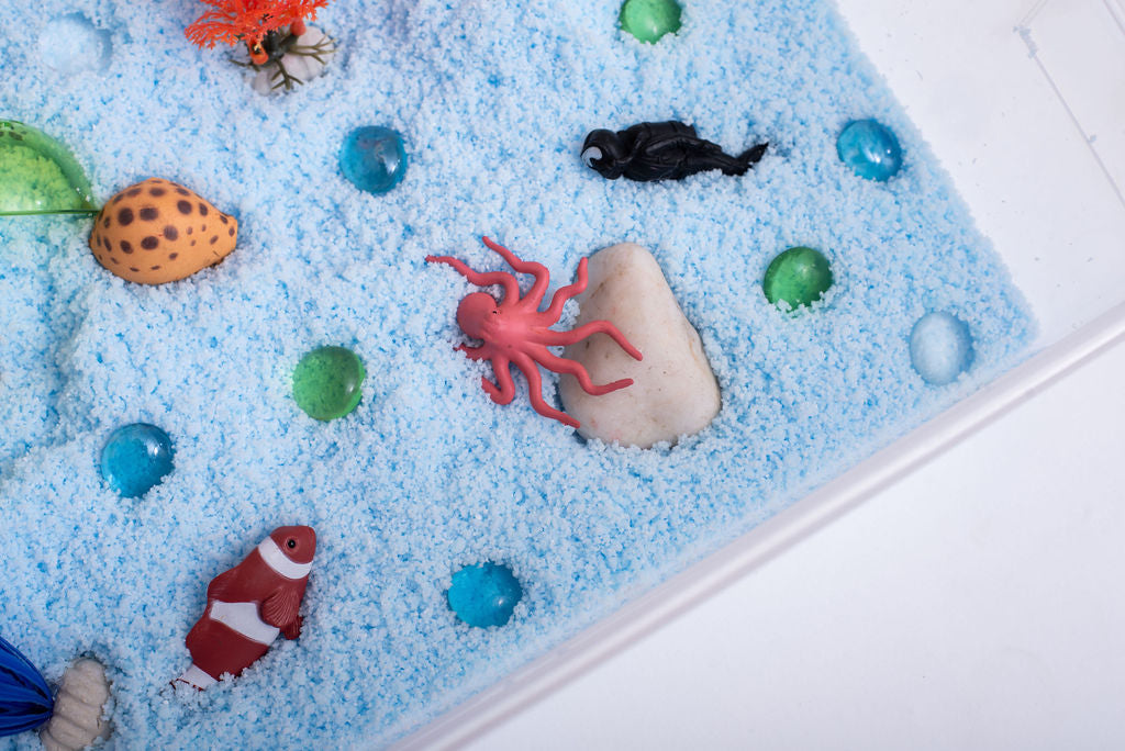 Coral Reef Sensory Bin