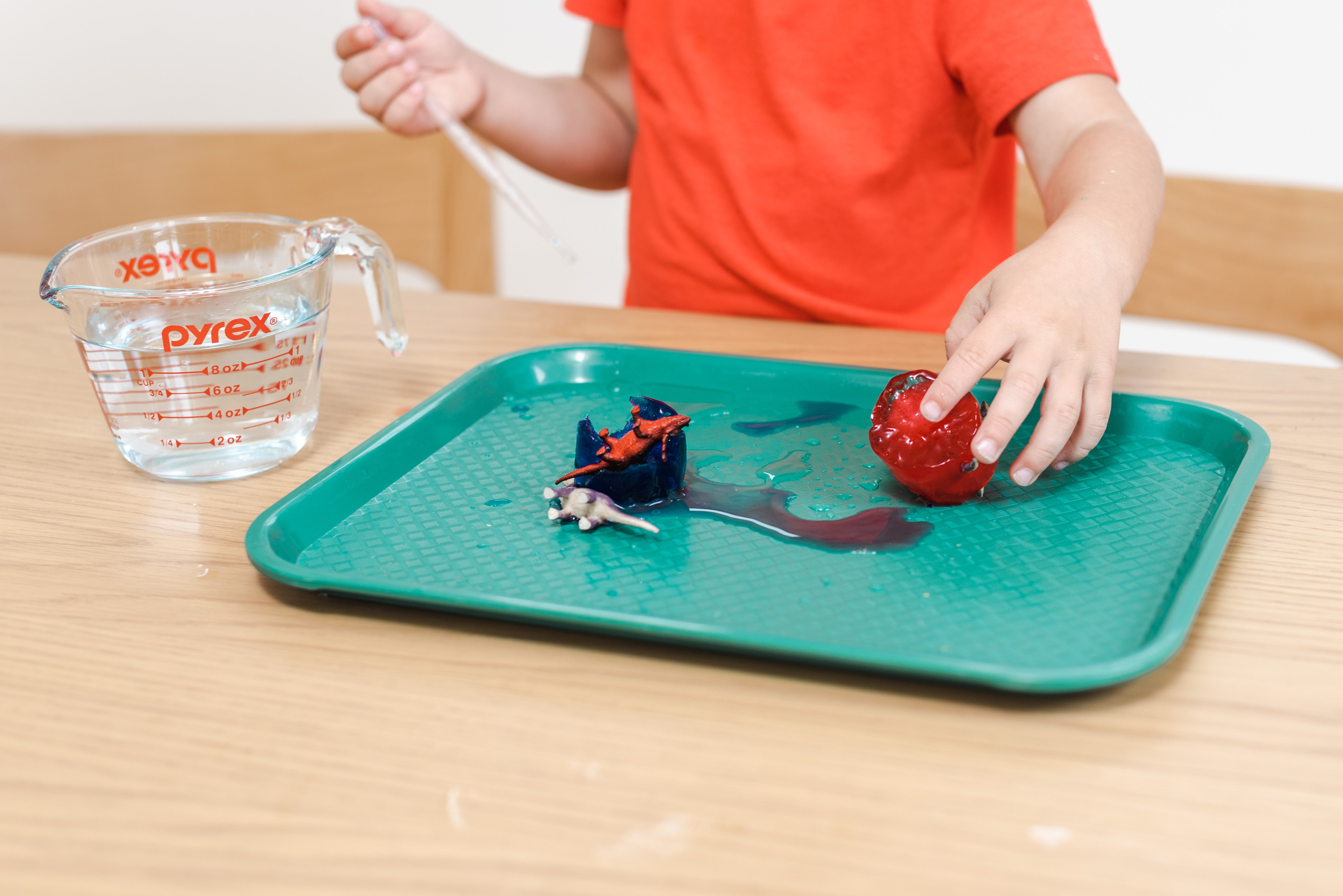 Paleontologist Messy Play Kit