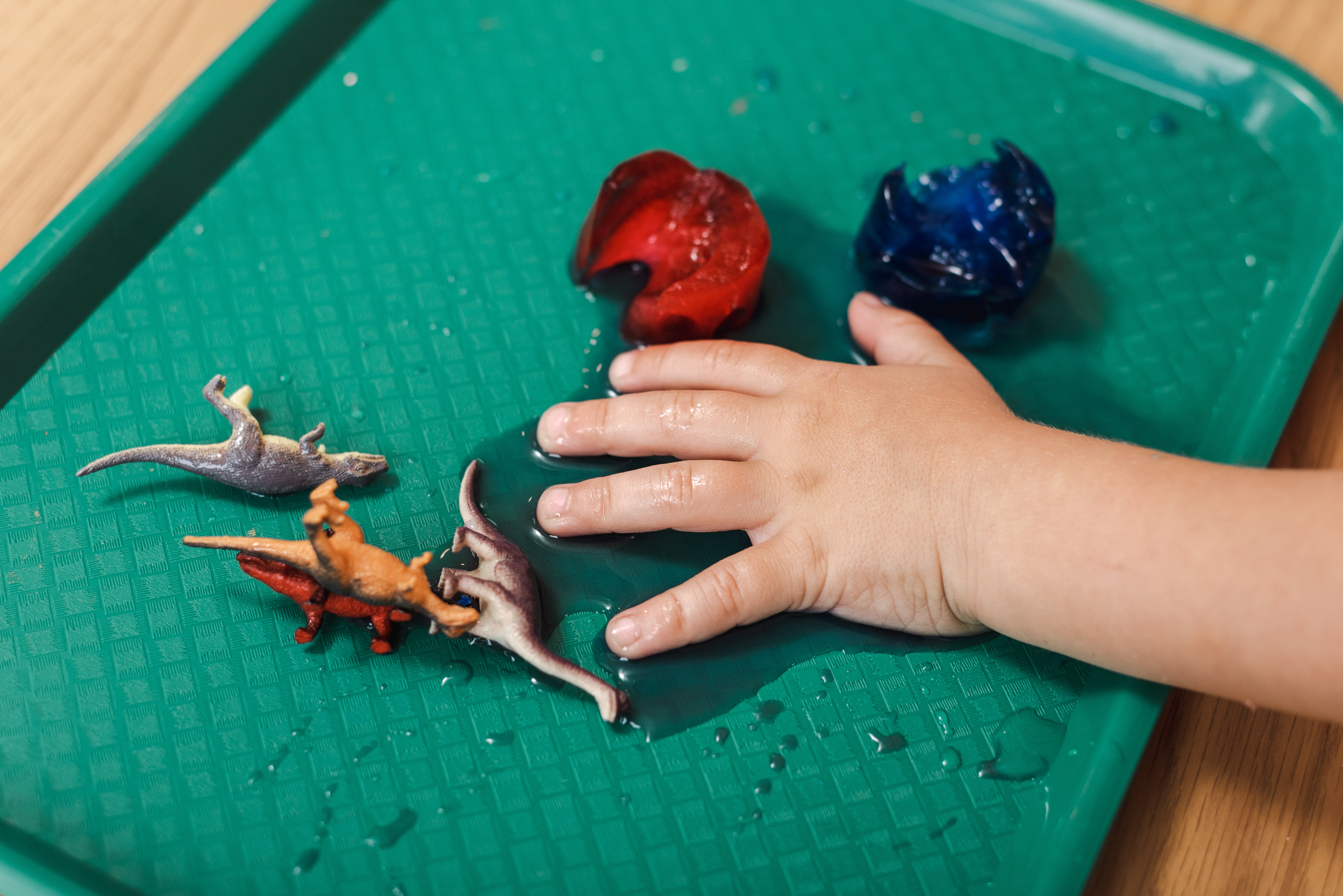 Paleontologist Messy Play Kit