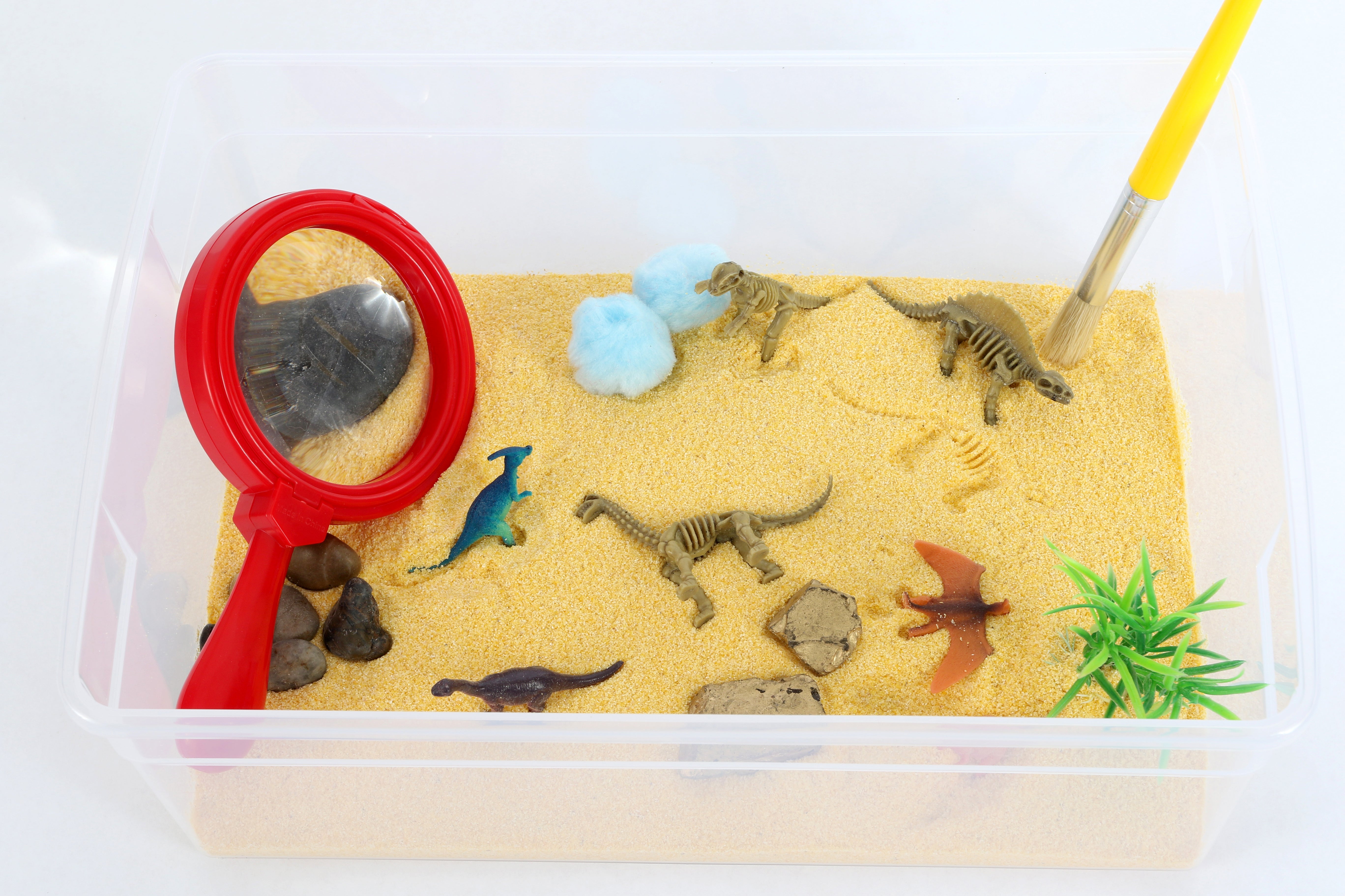 Dinosaur Excavation Sensory Bin