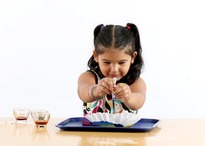 Girl concentrating on dripping color from a pipette onto a coffee filter to make the Color Blending Butterflies activity.