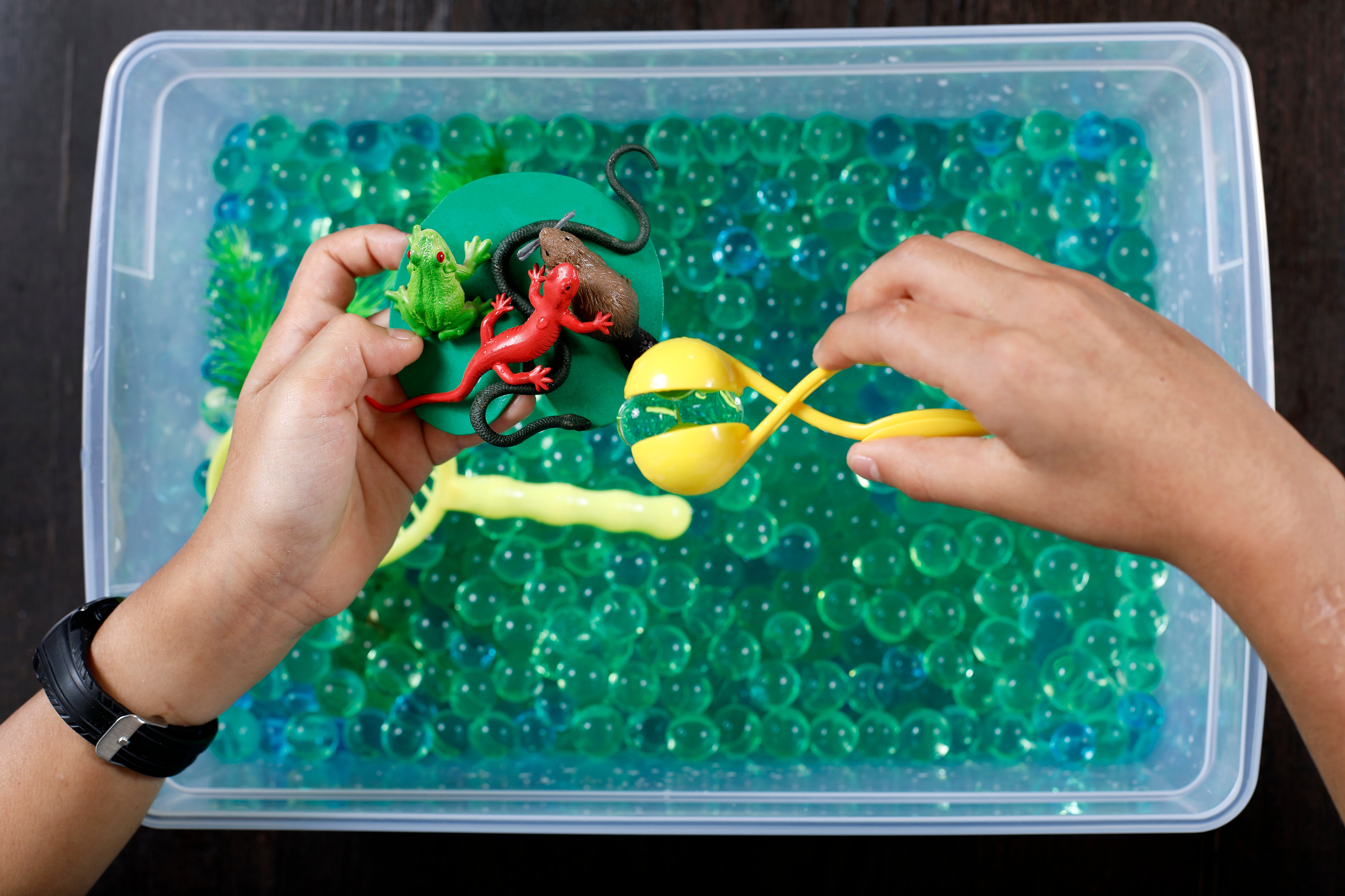 River Sensory Bin