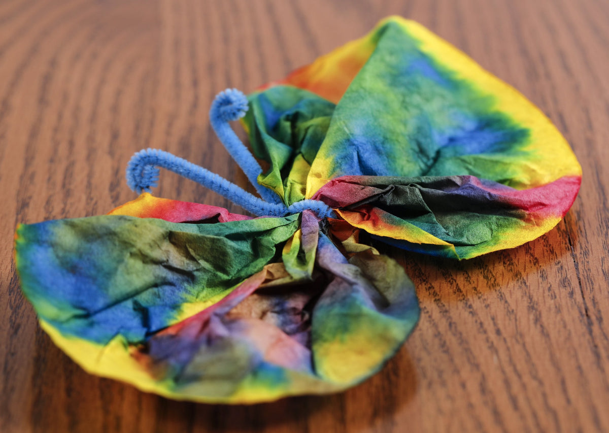 Close up of the butterfly created from the Color Blending Butterflies activity.
