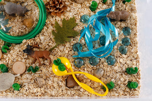 Forest Sensory Bin