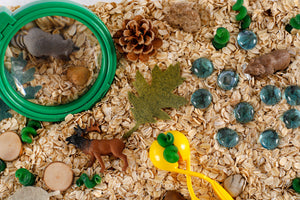 Forest Sensory Bin