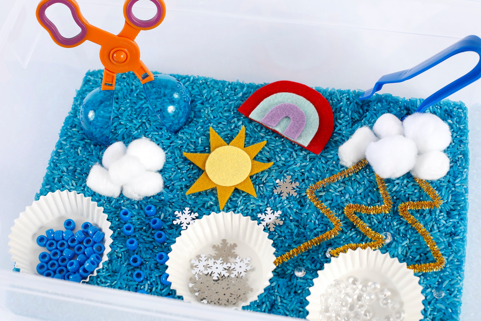 Gift Subscription: Sensory Bins