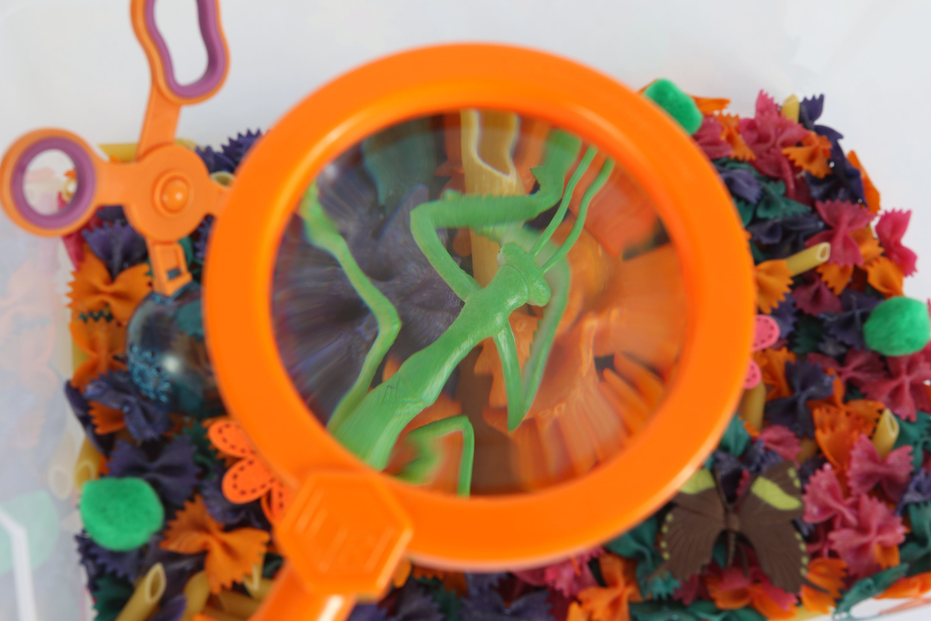 Butterflies & Bugs Sensory Bin