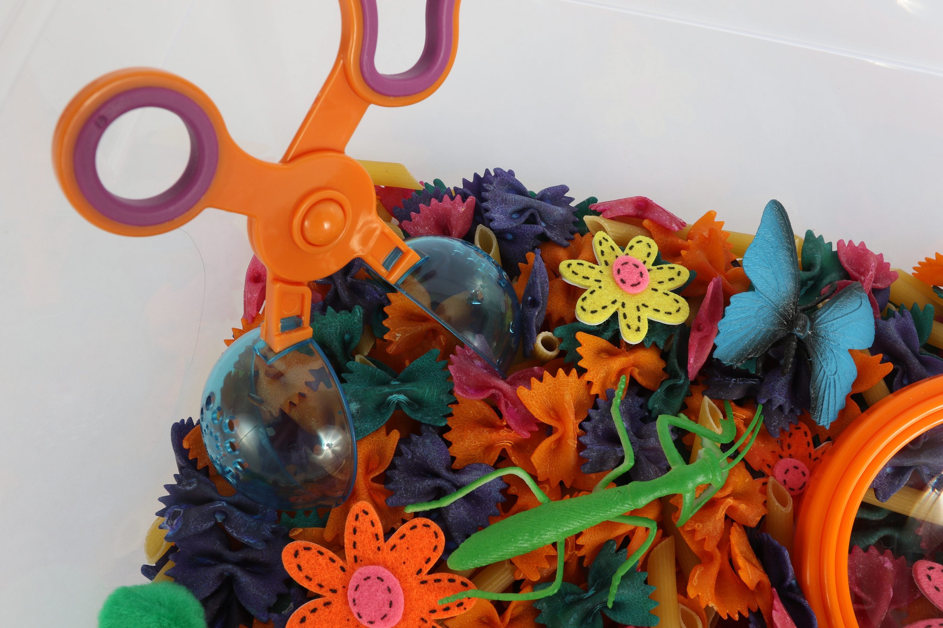 Butterflies & Bugs Sensory Bin