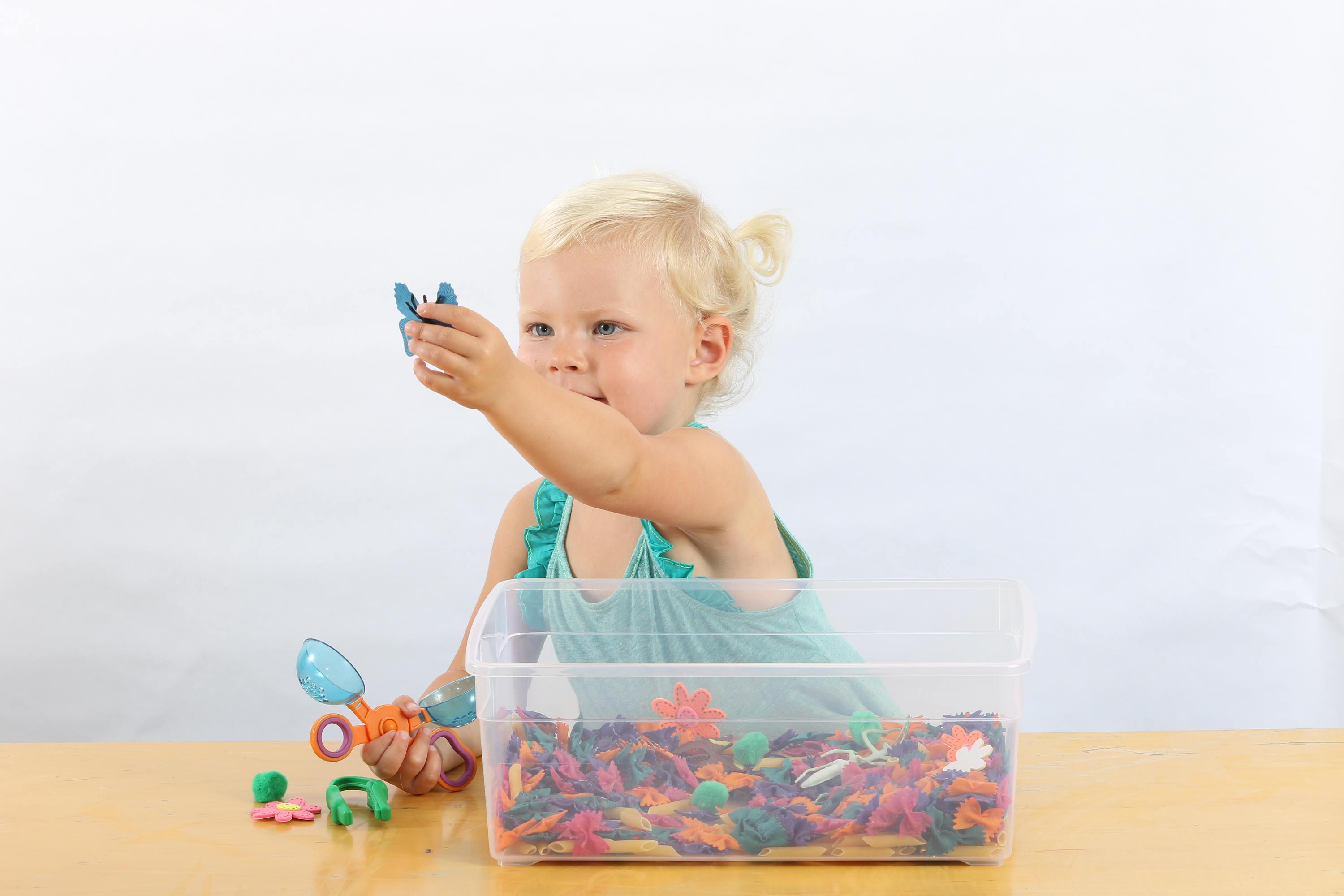 Butterflies & Bugs Sensory Bin