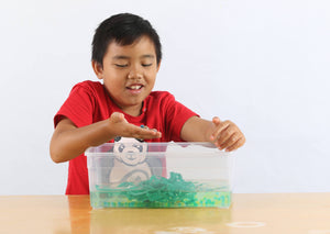 Boy holding waterbeads over a bin containing water and ribbon seaweed.